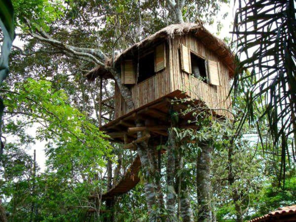 Pousada Recanto Das Aves Iguape Zewnętrze zdjęcie